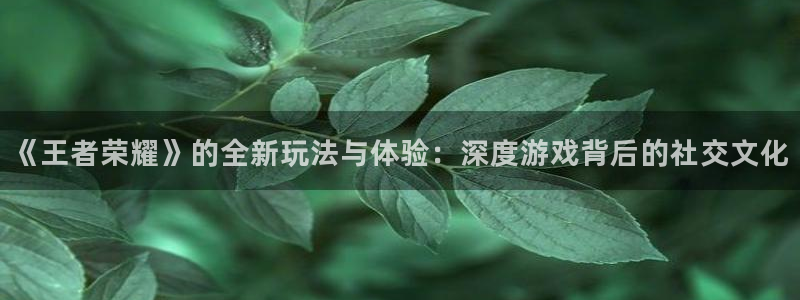 《王者荣耀》的全新玩法与体验：深度游戏背后的社交文化