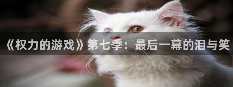 k8凯发·天生赢家