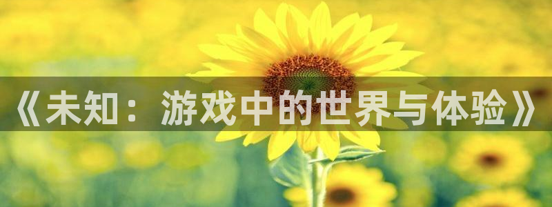 k8凯发电子：《未知：游戏中的世界与体验》