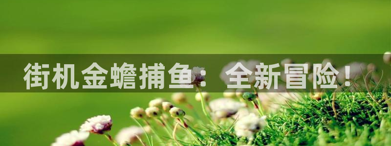 凯发k8