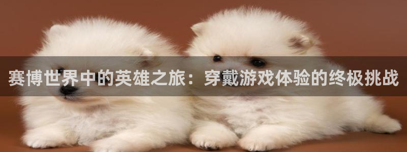 k8凯发集团：赛博世界中的英雄之旅：穿戴游戏体验的终极挑战