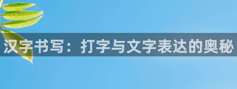 k8凯发首页：汉字书写：打字与文字表达的奥秘