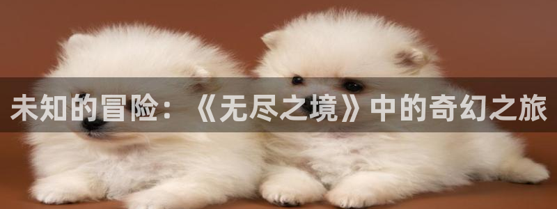 K8凯发集团：未知的冒险：《无尽之境》中的奇幻之旅