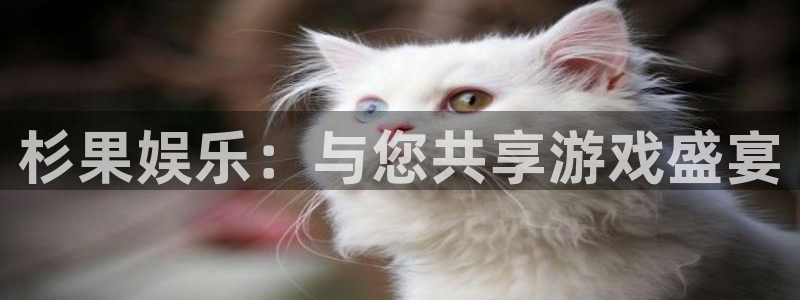 k8凯发天生赢家一触即发最新章节更新