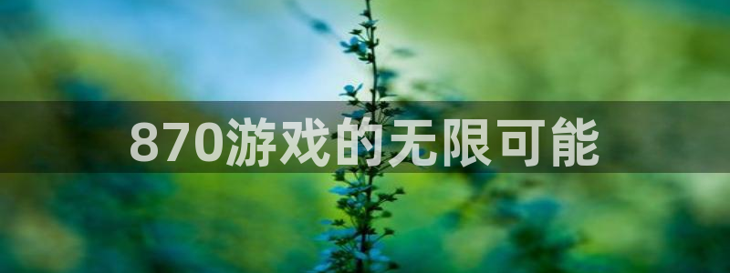 凯发k8天生赢家一触即发：870游戏的无限可能